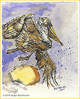 Pelican 1 by Roger Bacharach copyright 2019